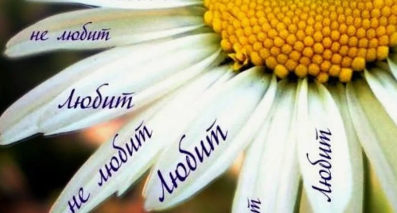 Любит не любит: психология простого гадания и его влияние на выбор